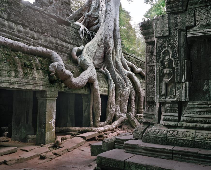 TaProhm018