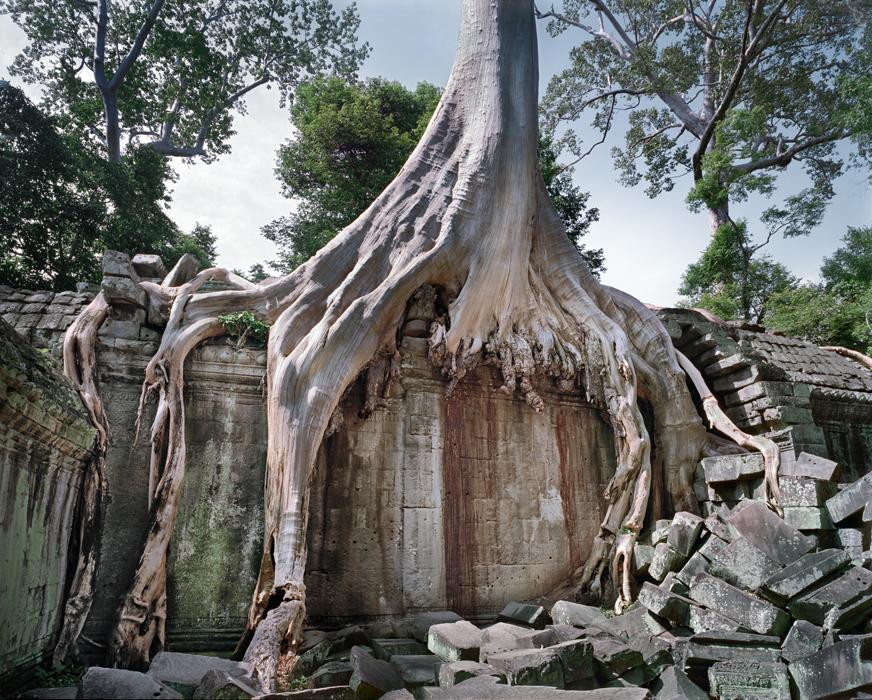 TaProhm3